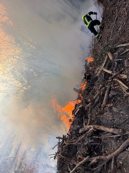 Waldbrand am Tabor – Hauptfeuerwache Villach im Großeinsatz (Bild 5)